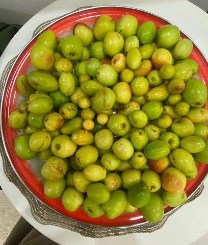 مشعل عبدالله ابو ذراع - Al Jahra -