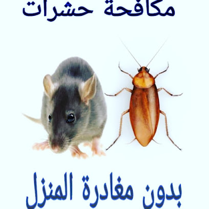 شركة رش حشرات البركة بأفضل الأسعار - Floor - +965 6561 6784