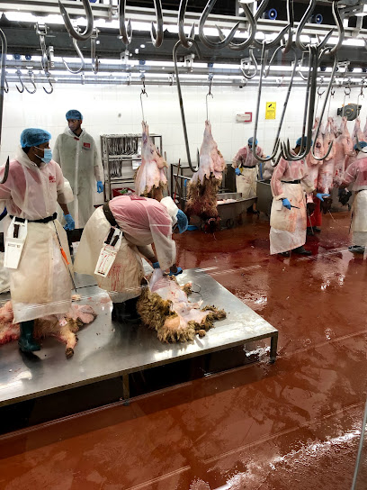 Kuwait's Capital city Slaughterhouse - Kuwait|Al Farwaniyah|8X54+XJ8