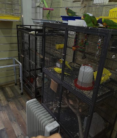 Happy birds لبيع الطيور ومستلزماتها - Al Jahra - +965 6610 0282