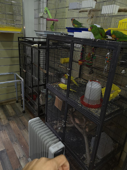 Happy birds لبيع الطيور ومستلزماتها - Kuwait|403-405 29 St