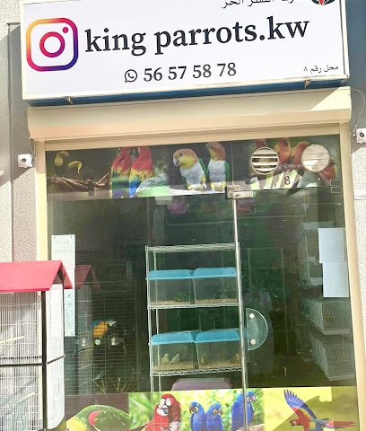 King Parrots Kuwait - Al Jahra - +965 6333 1330
