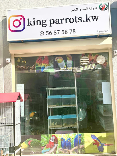 King Parrots Kuwait - Kuwait|70070|شارع مرزوق راشد الرشدان|Center AlRai