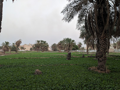 مزارع الجهراء القديمة - Hawally -