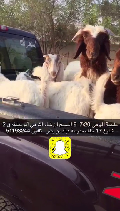 ملحمة الهرفي - Kuwait|قطعه 2،