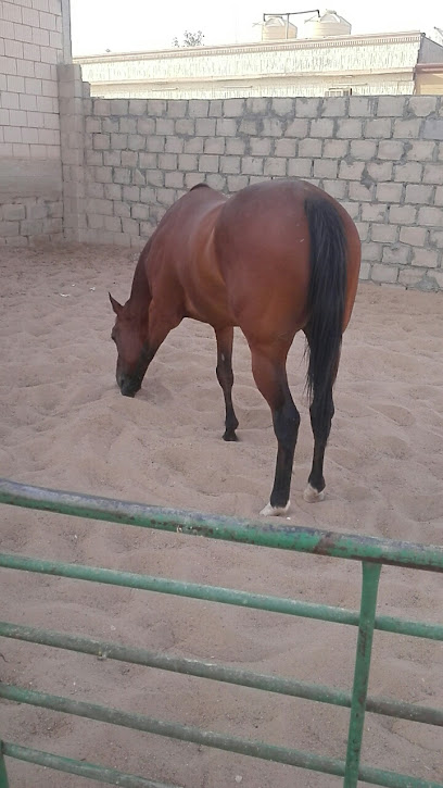 اسطبل استراحة الريم - Kuwait|اسطبلات الجهراء|8HFH+8JQ