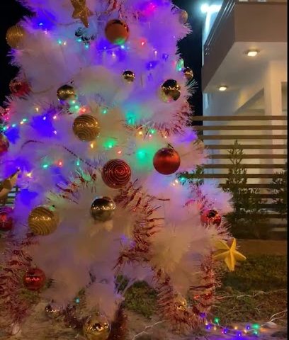 شاليه فرش حيل - Al Jahra - +965 9711 9716
