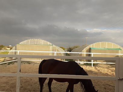 अलबुहेरी फार्म ALBUHAIRI FARM WAFRA - Hawally -