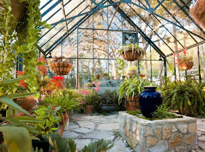 Plant And Pot Co. - Hawally - +965 6032 9985