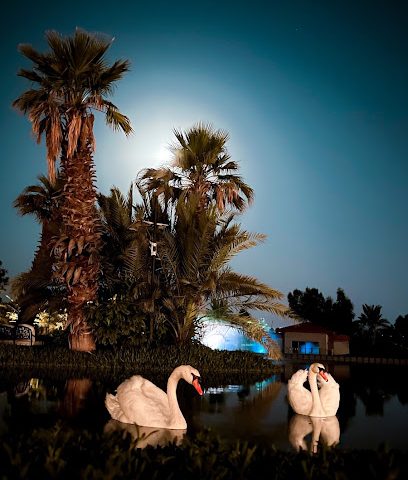 مزرعة الخرافي - Al Jahra -