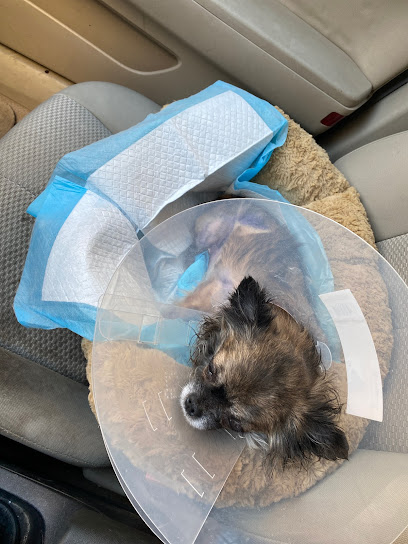 Zoo Care Veterinary Clinic - Kuwait|المهبولة - قطعة ٢ - شارع ٢٢١ - مبنى ١٠٨