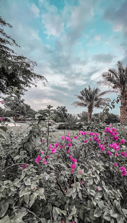 Ahmadi park - Kuwait|الشارع 5 شمالي، الأحمدي،، Ahmadi