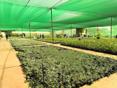Omariya Plant Nursery - مدينة الكويت -