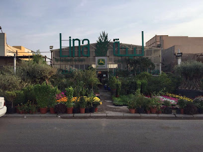 Lina Agri مشتل لينه اقري - مدينة الكويت - +965 6668 5216