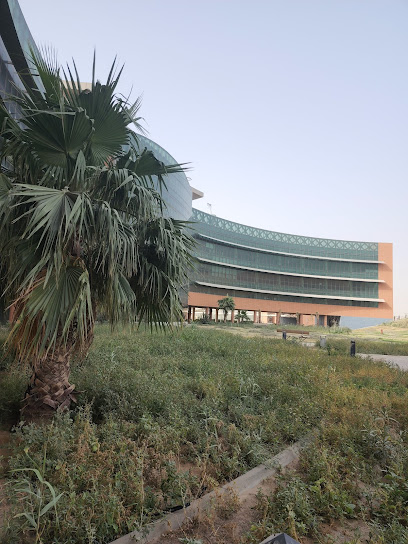 IUK | International University of Science & Technology - Kuwait|Ardiya