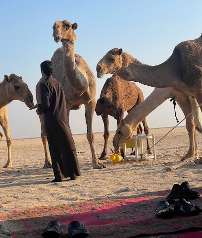 Wafra Oil Field - Mecca Al fahahel - +965 1888 190