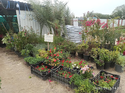 Abul Kalam - مدينة - +965 505 51542